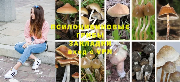 таблы Нея