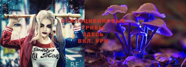 mdpv Нефтекумск