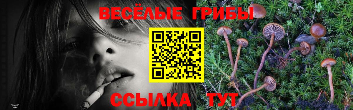Южно-Сахалинск  Галлюциногенные грибы Psilocybe  Галлюциногенные грибы Magic Shrooms  Вход с VPN 